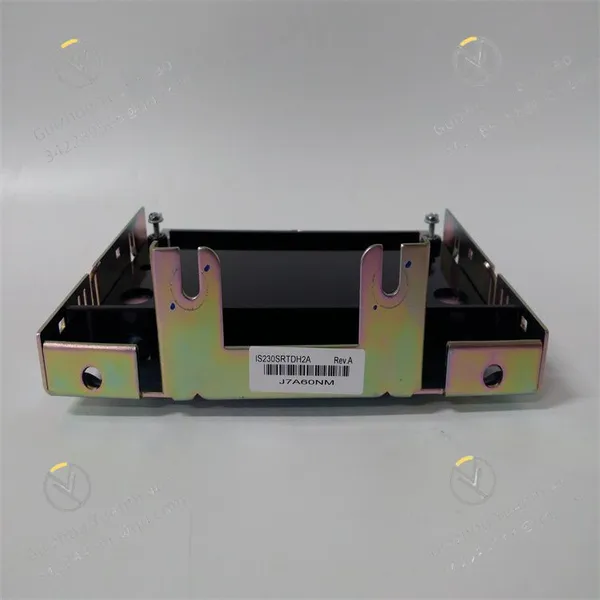 IS230SRTDH2A GE RTD Input Module photo-2