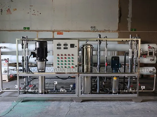 5T/H Double Stage RO System for Beverage Production Lithium Production Cosmetics