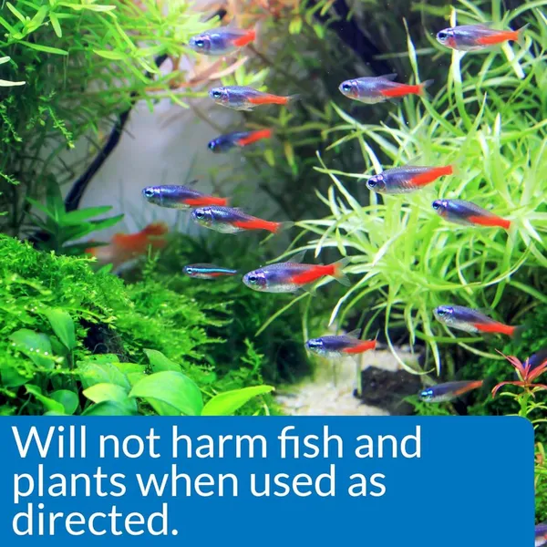 Fish Pond Algaecide for Koi Fish Ponds/Tank Polyquaternium-42 Algae Removal Chemicals Cleaning Care 31512-74-0 photo-3