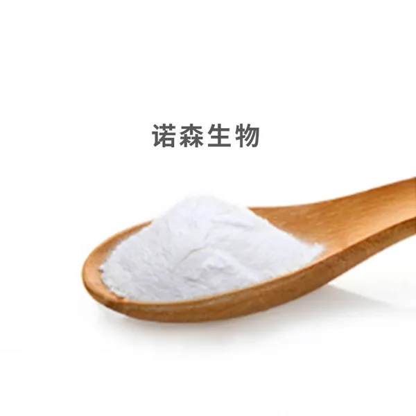 Bifidobacterium Animalis Probiotic Powder for Digestive Health & Immune Support Organic Pure Probiotics photo-5