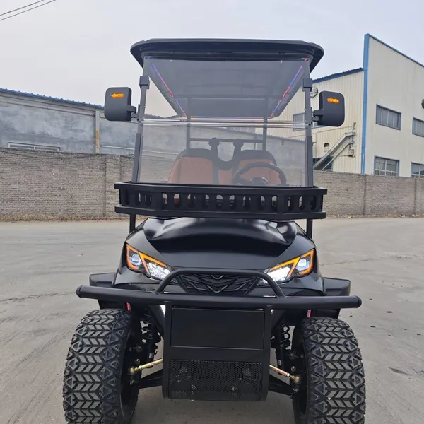 New 2+2 Four-seater Electric Golf Cart and Patrol Vehicle for Export Trade. Direct Factory, Customizable. photo-5