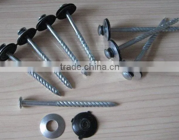 High Quality and Low Price Twisted Shank Roofing Nail With Umbrella Head China Factory photo-3