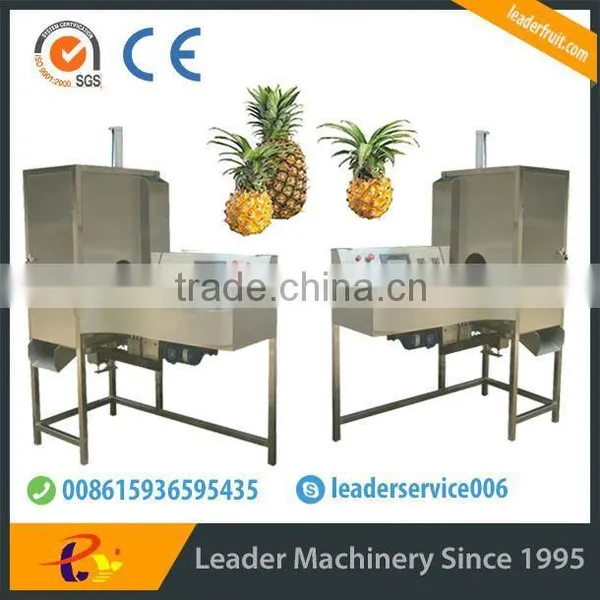 Leader Pineapple Peel and Pulp Separater With Low Power Consumption photo-3