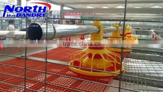 Best Quality Automatic Poultry Feeder and Drinker Poultry Farming Equipment for Sale in UAE photo-2