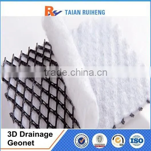 Geotextile and Geonet 3D Composite Drainage Geonet photo-5