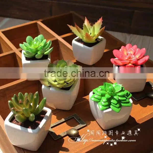 Wholesale Artificial Mini Succulent Flower Plants, Mini Flower Bonsai photo-3
