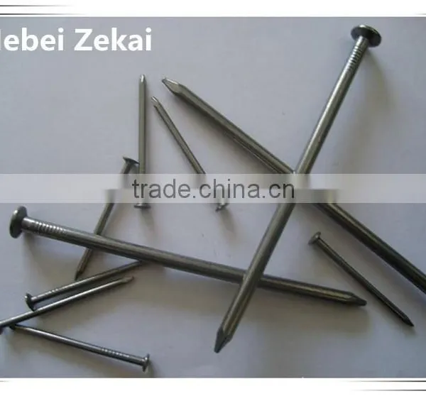 Cheap Price Galvanized Common Nails for Wood/furniture photo-3
