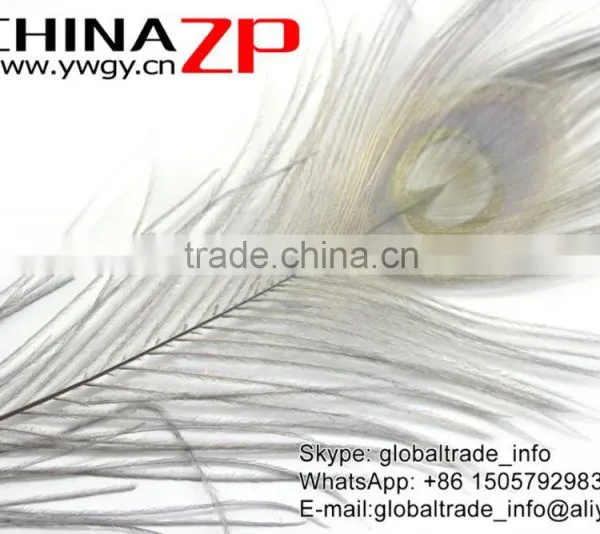 CHINAZP Leading Supplier Wholesale Cheap Full Eye Dyed Grey Long Peacock Tail Feathers photo-5