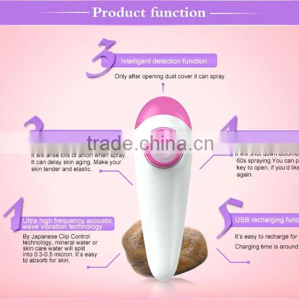 Best Thing to Sell 12ml Usb Portable Cold and Hot Facial Steamer photo-2