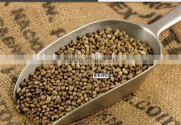 Hot Selling Wholesale Agricultural Hemp Seeds