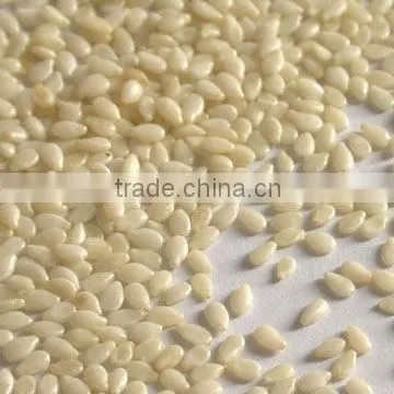 Hulled Sesame Seed Premium Quality Manufacturer Exporter