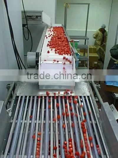IQF/frozen Bulk Strawberries,Frozen/iqf Strawberry Price,frozen Strawberry photo-3