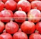 2014 High Quality Pomegranate Extract Ellagic Acid and Punicalagins-pomegranate Juice Bulk