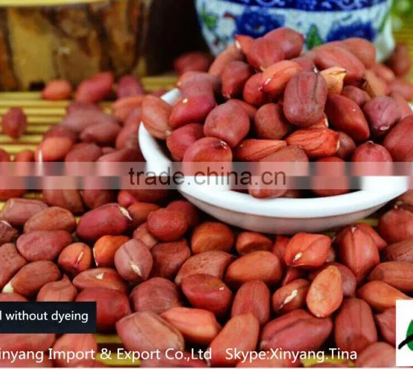 Wholesale China High Quality Wholesale Peanuts Prices photo-3