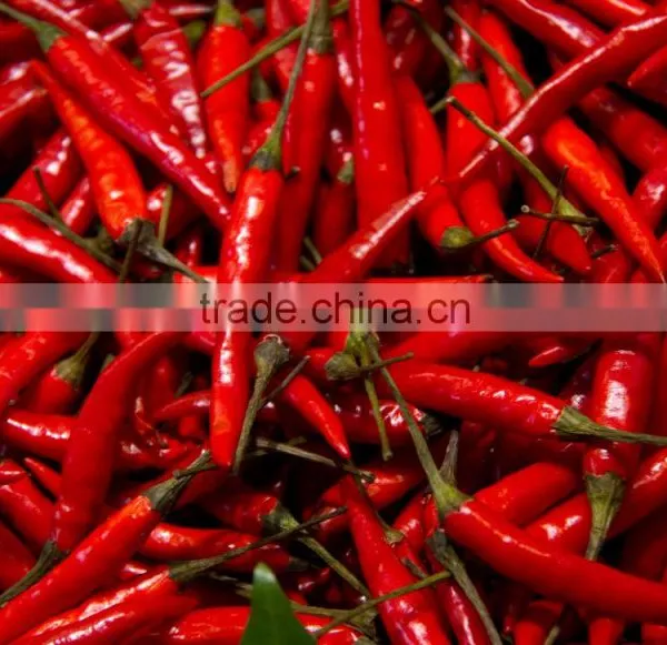 Frozen Red Chili (without Stem)