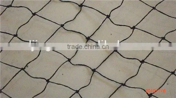 Long Life Quality Guarantee Agricultural Bird Catching Net Mesh Cloth photo-6