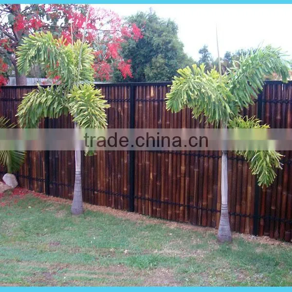 Wy-C089 Bamboo Fence photo-2