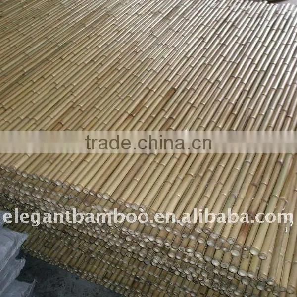 Bamboo Fence