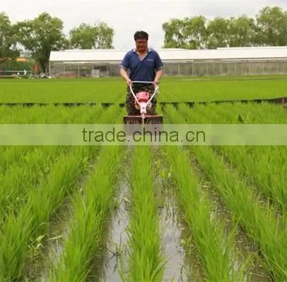 Paddy Weeder photo-4