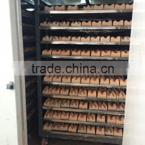 Electric Gypsum Block Tunnel Dryer photo-4