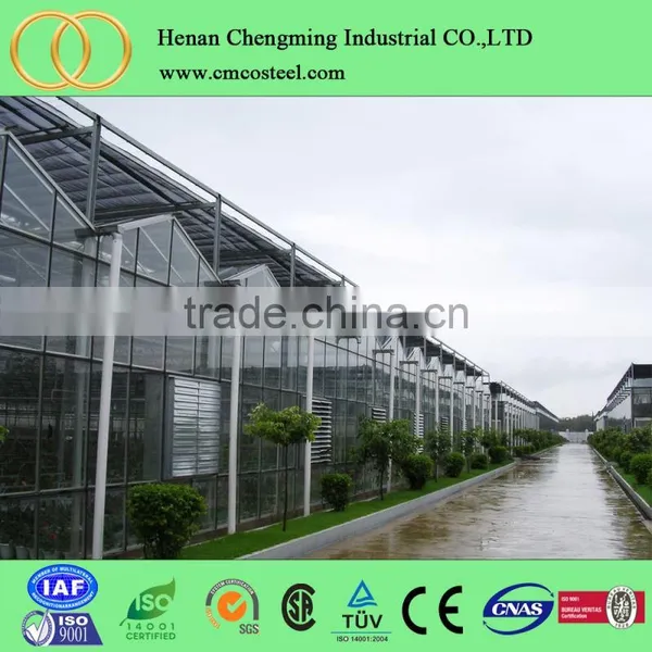 Low Cost Plastic Greenhouse From China Polyethylene Film Greenhouse Vegetable Greenhouses photo-6