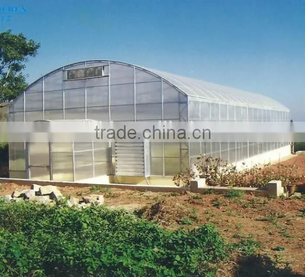 Plastic Film Covered Economic Tunnel Greenhouse For Agricultural Planting photo-2