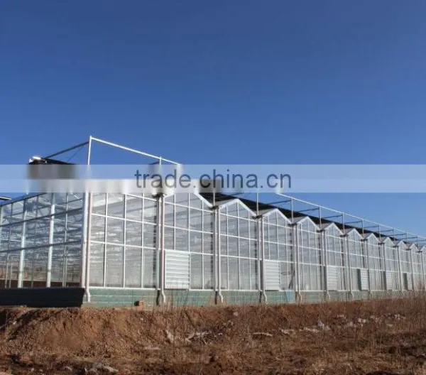 China Direct Selling Beautiful High Quality Venlo Greenhouse Can be Used to Planting Grows