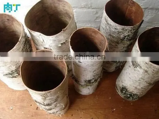 Birch Bark Cylindrical Flower Pot for Wedding Supplies photo-4