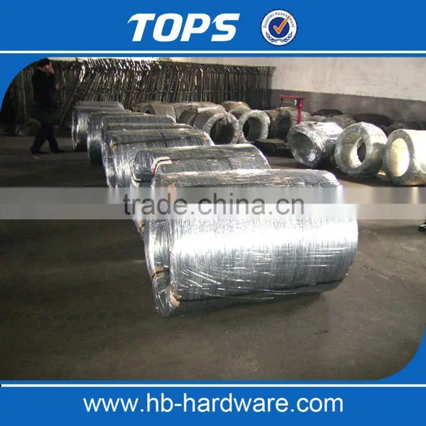 Tops Low Price Electro Galvanized Iron Wire photo-3