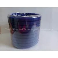 Cheap Price Dust Seal/DHS Seal