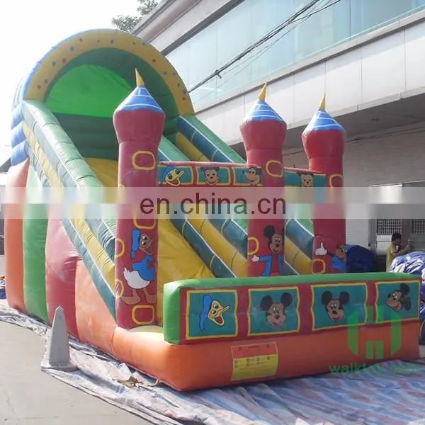 HI Custom Design Big Water Slides for Sale, Adults Game Inflatable Water Slides China photo-2