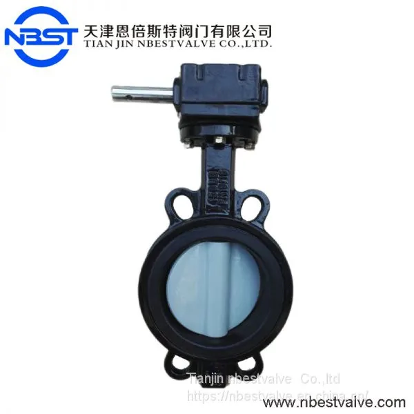Water Gas Oil Medium Type Worm Gear Flanged Butterfly Valve D371XP-5KQ photo-2