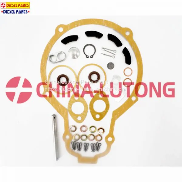 Diesel Engine Injection Pump-bosch Pump Repair Kit 2 417 010 004/800004 for ISUZU photo-3