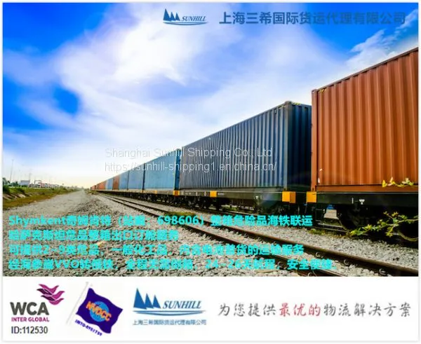 Shanghai to Shymkent 698606 Container Shipping Freight for Dangerous Cargo photo-4