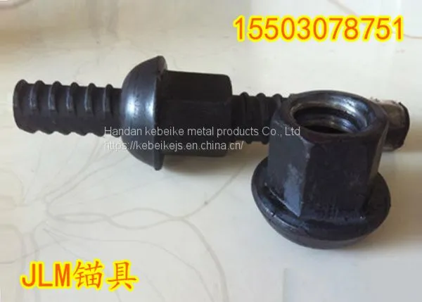 High Strength Accessories for Screw Thread Steel Bars