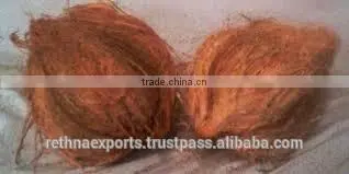 Fresh Trimmed/undrimmed Coconut photo-4
