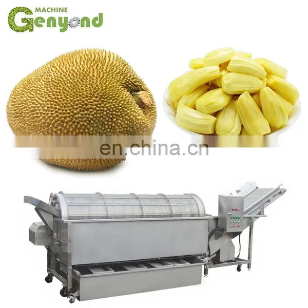 GENYOND jackfruit jack fruit juice production line