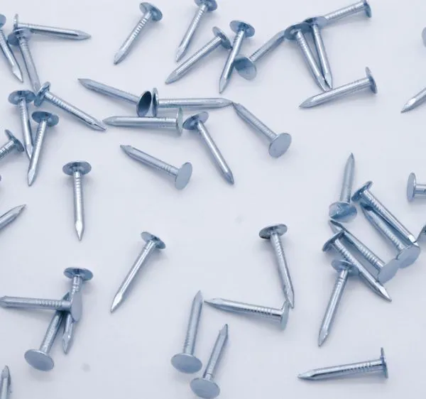 POWER Steel Roofing Felt Nails Supplier 20mm Length for Ceiling Installation photo-3
