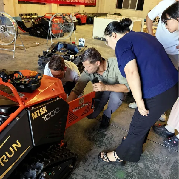 Gas Powered Remote Lawn Mower Heavy Duty Hammer Flail Mower 1000mm Cutting Width Self‑locking Worm Gear For Farm Shrub Cutting Work photo-2