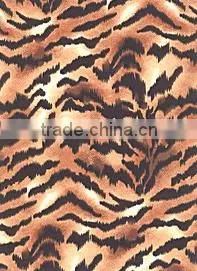 Jackets Tiger Print