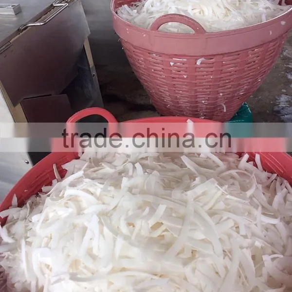 Coconut Chips