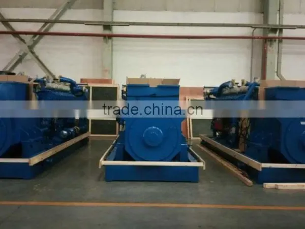 1MW Natural Gas Generator From Supermaly Power With Low Speed photo-3