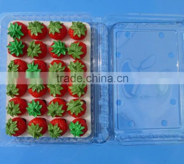 Punnet Clamshell Blister Plastic Packaging Container 500 Gram photo-2