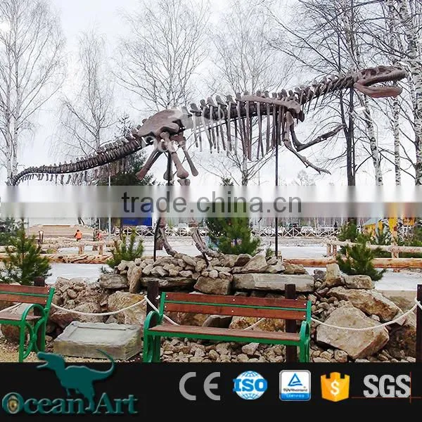 OAV2413 High Quality Dinosaur Skeleton Model photo-2