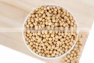 Shanghai TOPS Food Grade Beans Grinding photo-2