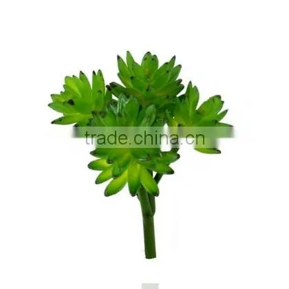 China Factory Direct Artificial Bonsai Succulents Plant Potted Palnt for Table Decortaion Home Decoration photo-3