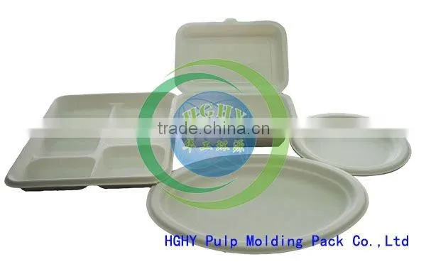 HGHY Bagasse Plate Machine of Pulp Molding China photo-5