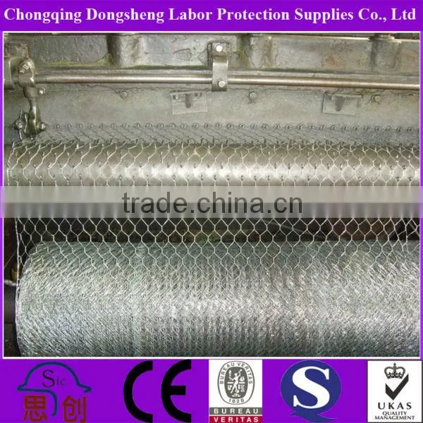 Chicken Coope Hexagonal Wire Mesh
