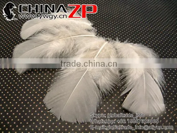 CHINAZP Good Quality Plumage Wholesale Dyed Ivory Turkey T-Base Body Feathers for Sale photo-2