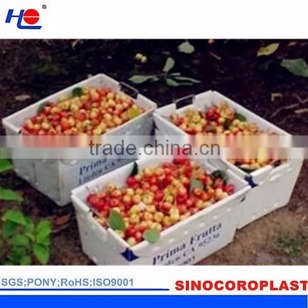 Plastic Vegetable Packaging Box photo-3